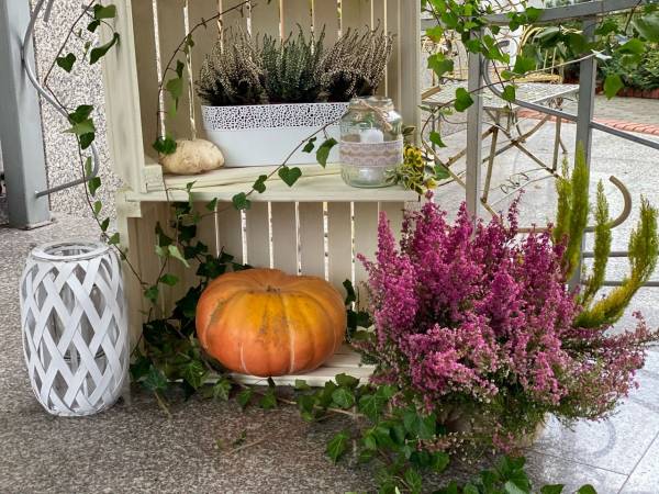 Bory Tucholskie Ośrodek Wczasowy 