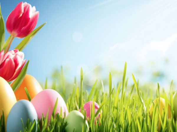 Pensjonat Tadeusz i Apartamenty