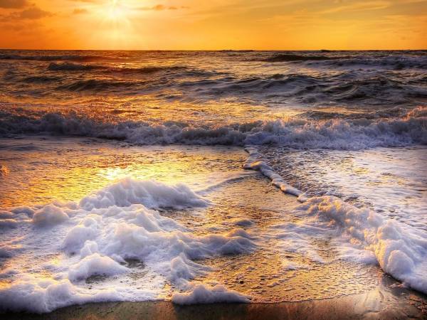 Domki Sarbinowo Elizjum