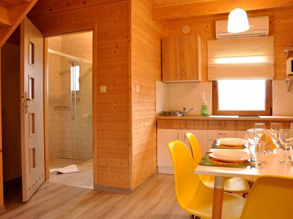 pokój gościnny z aneksem kuchennym