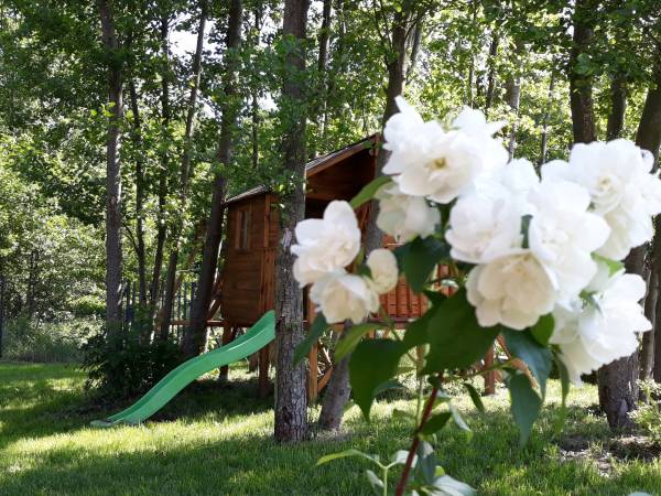 KUBICZÓWKA TATARAKI