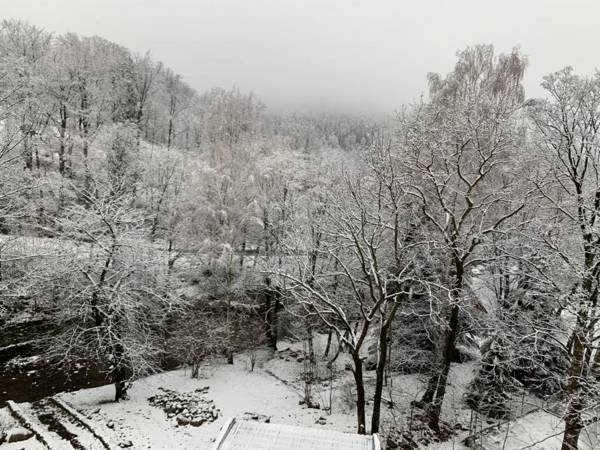 Familijny - widok z okna