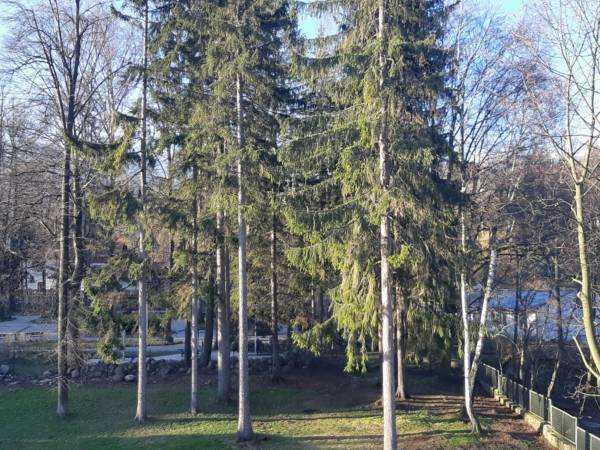 Familijny - widok z balkonu