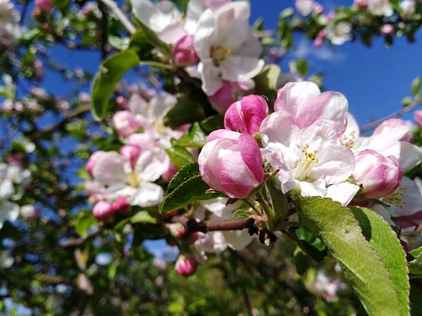 Agroturystyka nad Jeziorem Białym