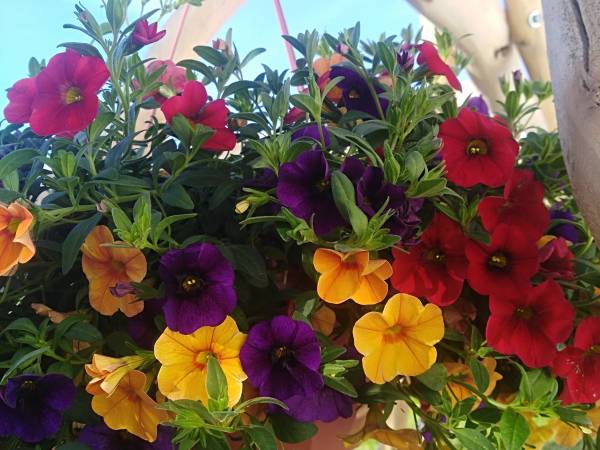 Agroturystyka nad Jeziorem Białym