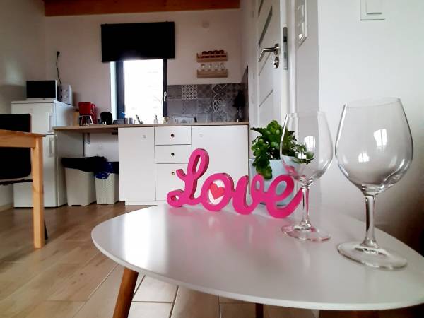 Salon z aneksem kuchennym