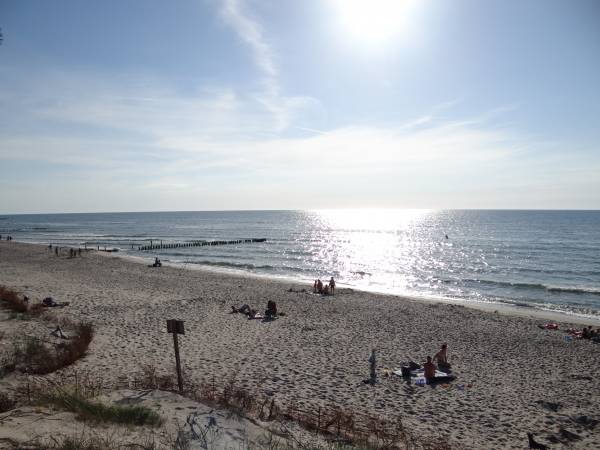 Domki letniskowe Wikar 