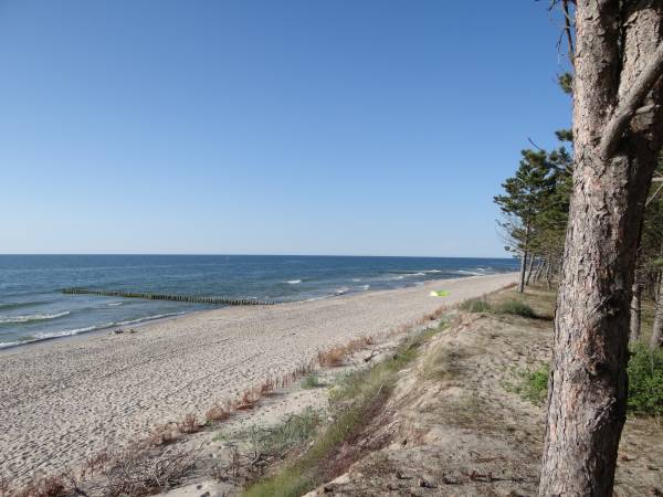 Domki letniskowe Wikar 