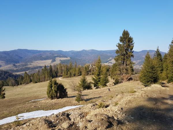 na najbliższym szlaku (droga pod Durbaszkę)