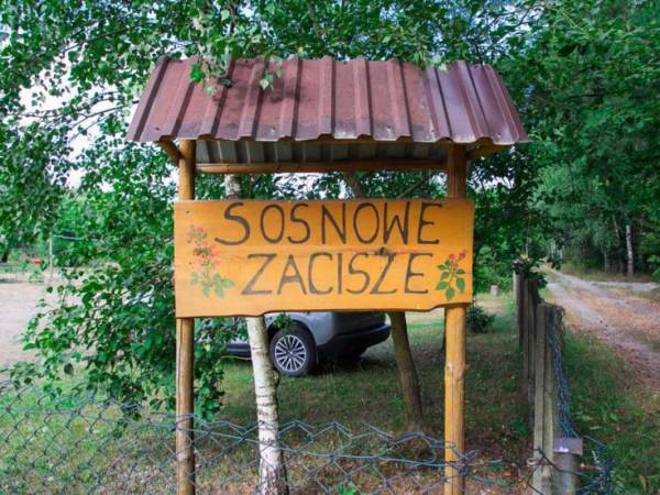 Sosnowe Zacisze