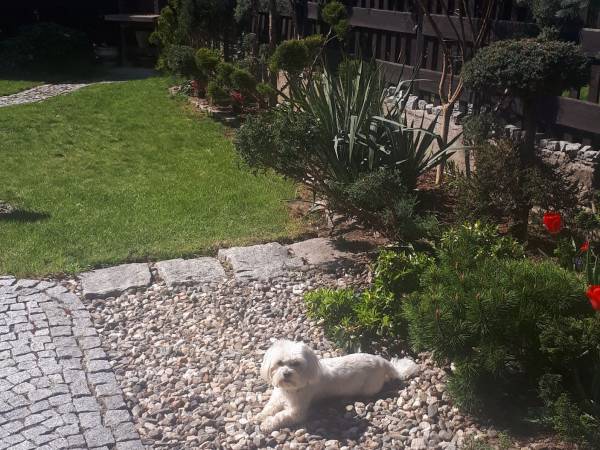 Pokoje i Apartament Zacisze