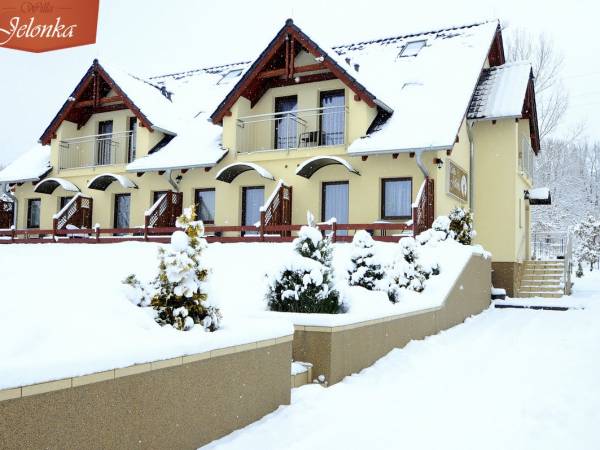 Willa Jelonka zimą