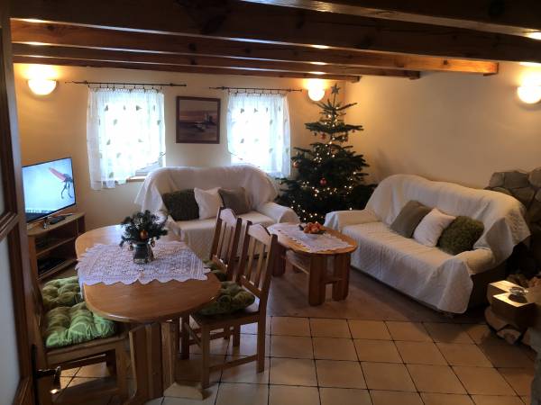 Pięknie położony dom górski do wynajęcia "Sudecka 100"