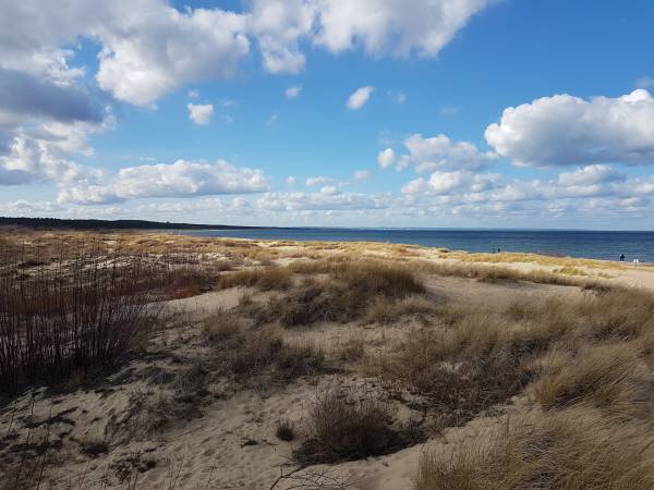 Widok z wydm na Zatokę