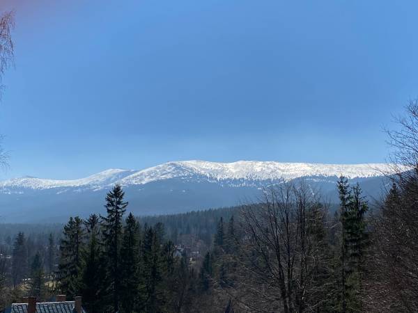 Widok z pokoju nr 5 i 6