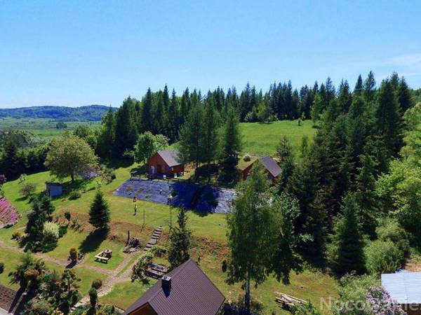 Modrzewiowe Wzgórze