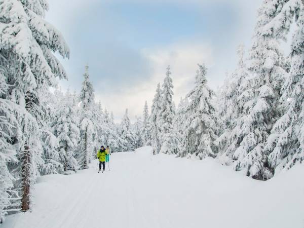 Osada Widok na Góry Domki