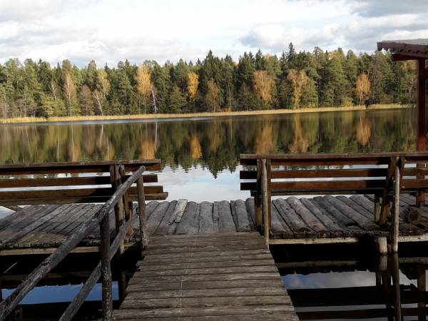 Domki letniskowe Elżbieta 