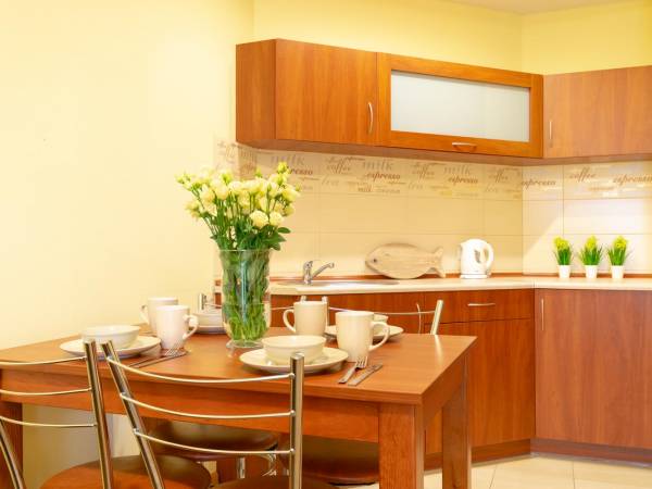 Aneks kuchenny w pokoju apartamentowym