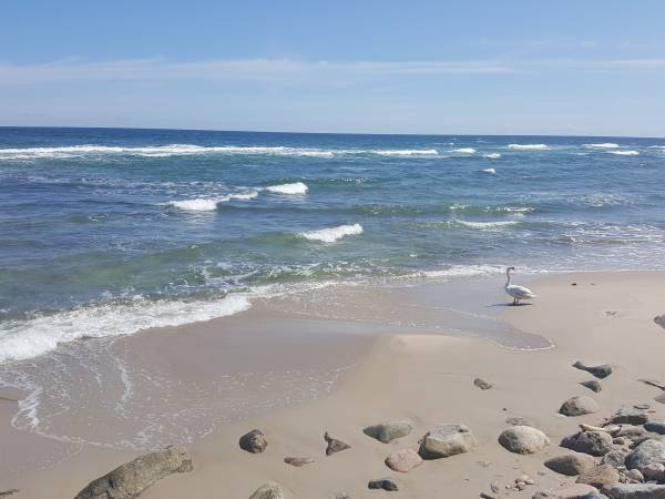 Domki apartamentowe Kierunek Rozewie