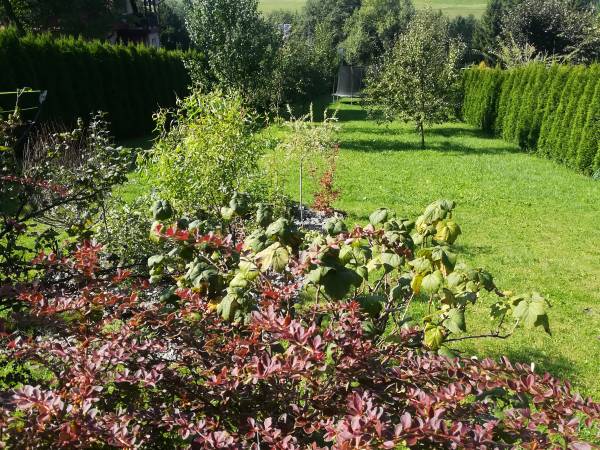 Apartamencik Pod Krokusem