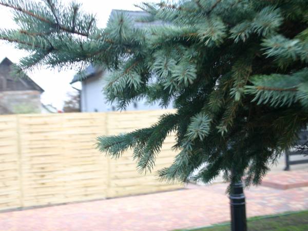 Stan na dzień 03.05.2020