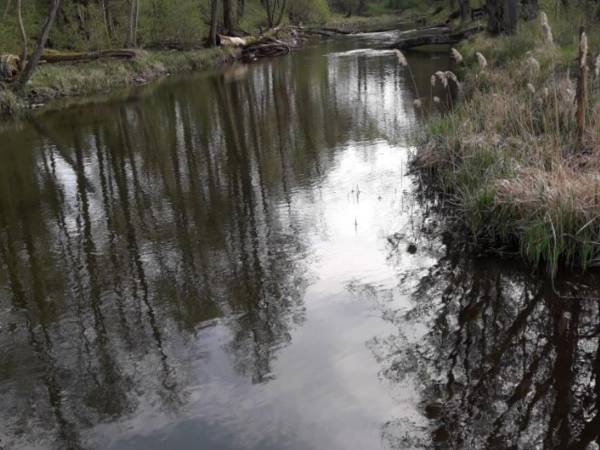  Apartamenty Żelazny Most i pole namiotowe