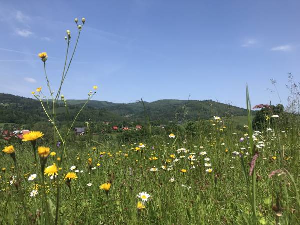 Apartamenty Czyrna przy Gondoli