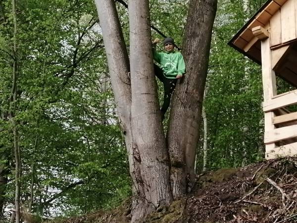 Drewniany domek z piernika