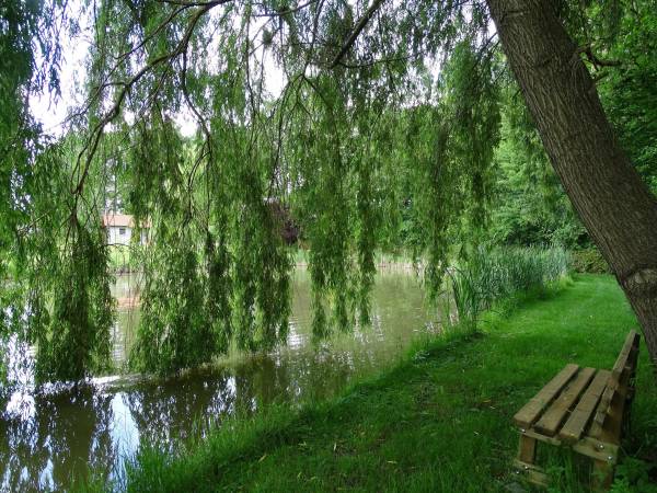 Dębowa Ostoja - domki agroturystyczne nad stawem