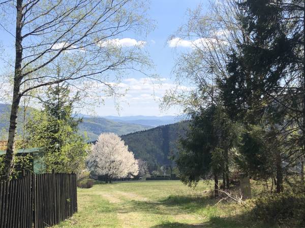 Międzybrodzie Bialskie