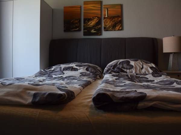 Pokoje Gościnne Kameleon