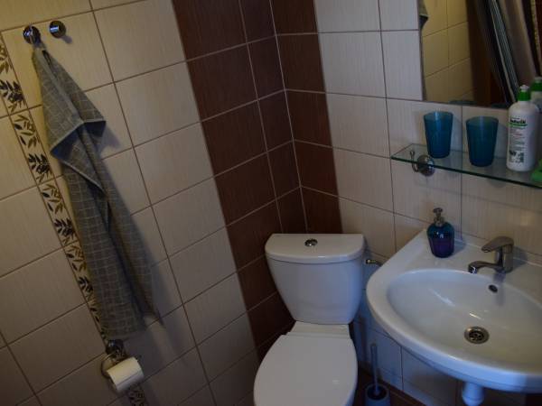 Pokoje Gościnne Kameleon