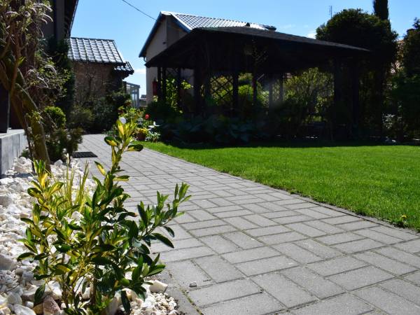 Pokoje Gościnne Kameleon