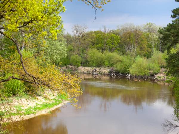 Rezerwat Szwajcaria Podlaska