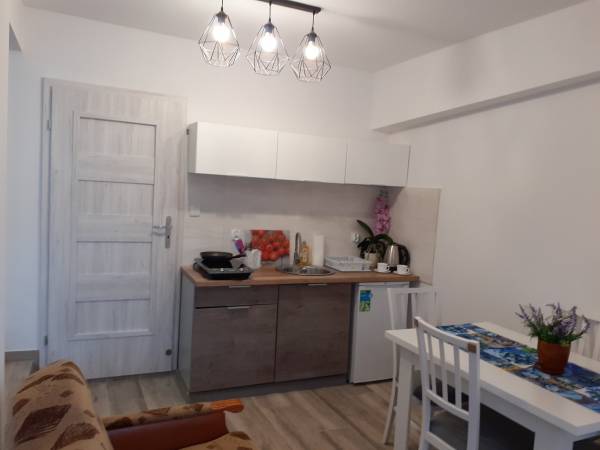 Pokój studio z aneksem