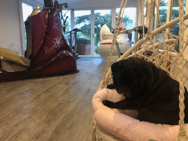 Flamandia strefa wypoczynku