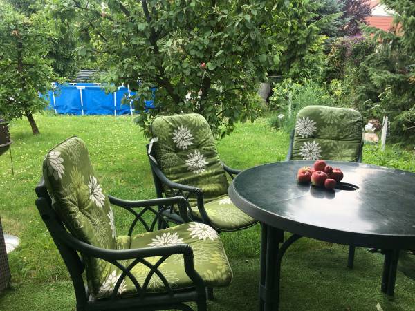 Flamandia & Willa Leśna