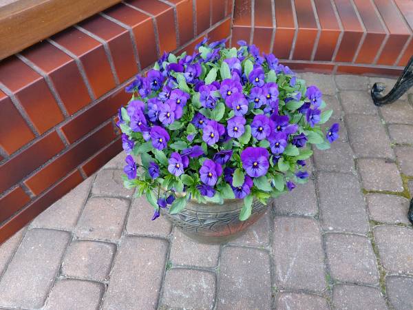 Dom Gościnny U Macieja