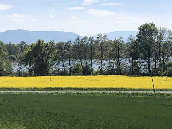 Flamandia & Willa Leśna