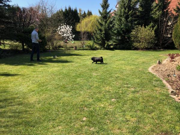 Flamandia & Willa Leśna