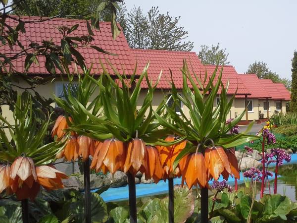 Kompleks Wypoczynkowy Sedna