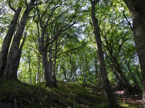 Kompleks Wypoczynkowy Sedna