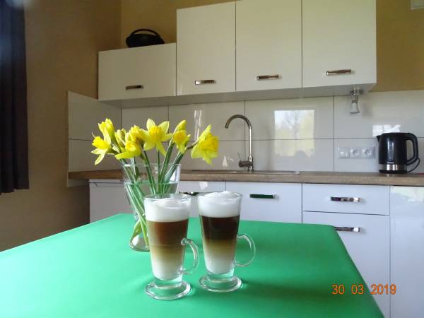 Dębowa Ostoja - domki agroturystyczne nad stawem