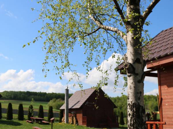 widok na okoliczne pola, łąki i las