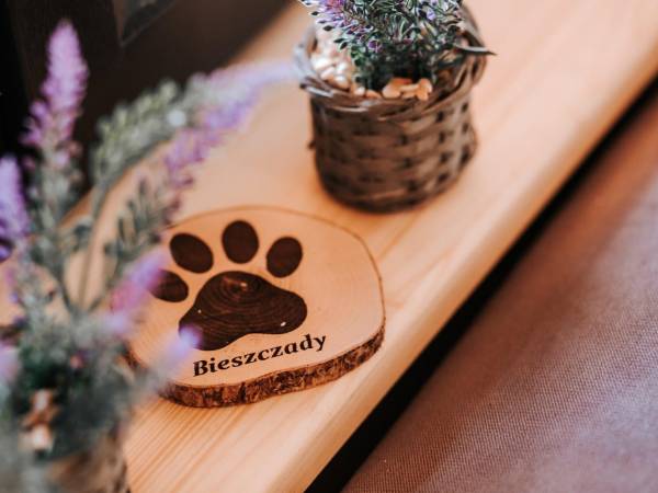 Chaty Skwirutowe Wzgórze - Domki Całoroczne 