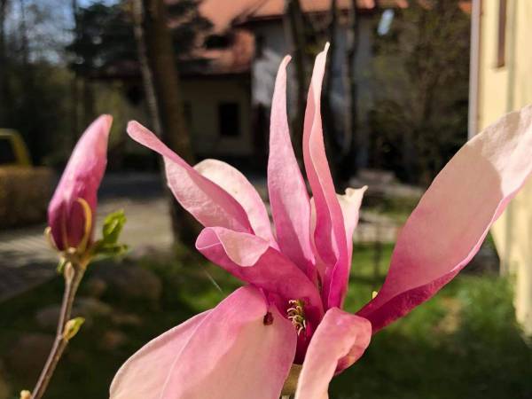 Dom Szkoleniowo Rekreacyjny Kwaskowa