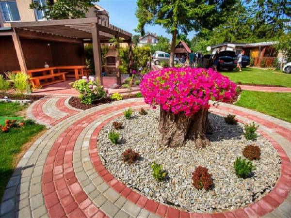 ogród z tyłu budynku