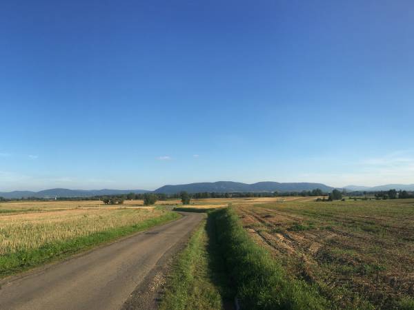 Flamandia & Willa Leśna