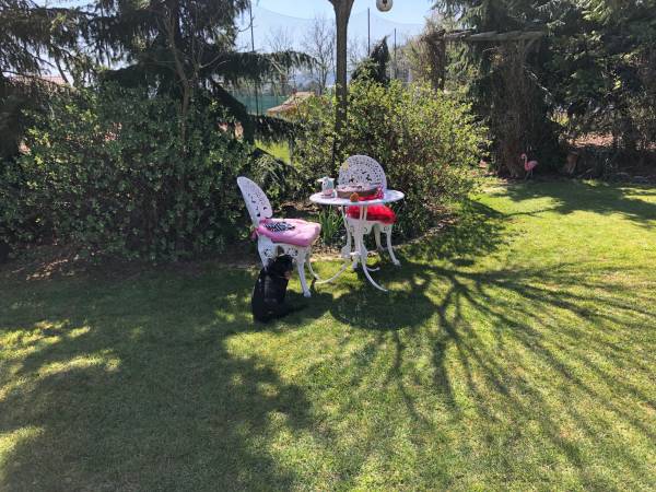 Flamandia & Willa Leśna